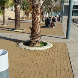 La Pyramide Nourriture