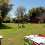 Citronelle Nourriture