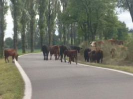 Golf Čertovo Břemeno Nourriture
