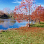 Brasserie De Lignes En Lignes La Puye Comida