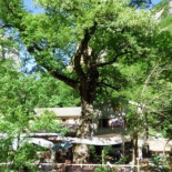 Le Moulin de la Pipe Extérieur