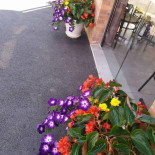 La Petillante Extérieur