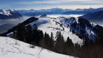 Le Panoramique food