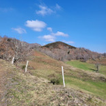 La Croix Des Cheules Nourriture