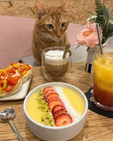 Meow Cats Cafe food