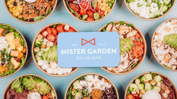 Mister Garden food