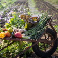 Christophe Hay Fleur De Loire food