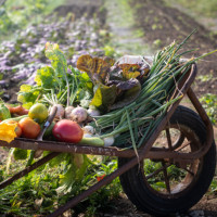 Christophe Hay Fleur De Loire food