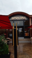 Hippopotamus outside