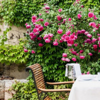 Le Cèdre De Montcaud food