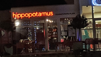 Hippopotamus food