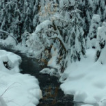 Hospoda U Oty À l'intérieur