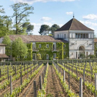 La Grand'vigne Les Sources De Caudalie food