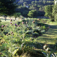 Une Table à La Campagne La Fenière inside