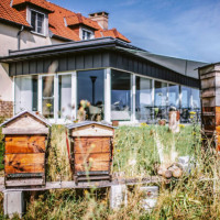 Le Saltimbanque Auberge Du Moulin food