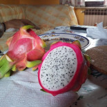 La Corte Gourmet À l'intérieur