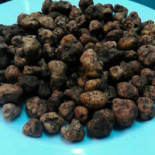 Essential Nourriture