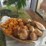 Il Cappello Di Paglia Dentro