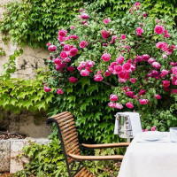 Le Cèdre De Montcaud food