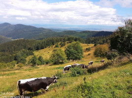 Ferme-auberge Buchwald food