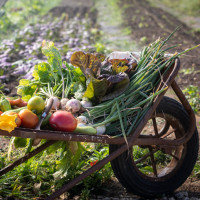 Christophe Hay Fleur De Loire food