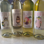 Rybízák Vinárna Frýdek Místek food