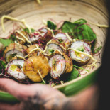 Fishi Sushi Nourriture