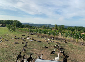 La Ferme De Grande Maison food