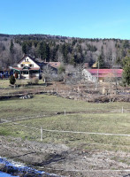 Ferme Auberge Lindenhof food