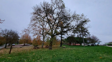 Ferme En Castera outside