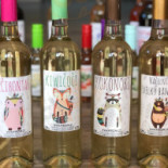 Rybízák Vinárna Frýdek Místek food