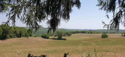 Pause Gourmande outside