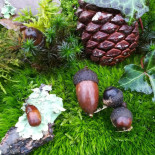 La Plaisance Bar-restaurant-routier food