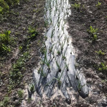 La Ferme Auberge D'entrevaux Exterior