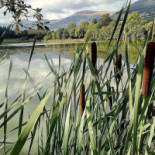 De La Vallée Exterior