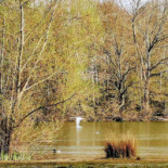 Commune De Chalette Sur Loing Extérieur