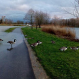 Commune De Chalette Sur Loing Extérieur
