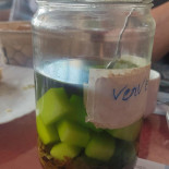 Pascal Ghigonetto Jocelyne Marguerite Comida