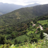 U Fornu Pizzeria Außen