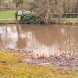 Auberge Ferme Du Tranchoir outside