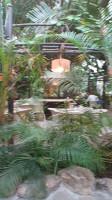 Cocoon Café outside