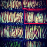 Domaine Guiton Carta