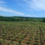 Les Maranges outside