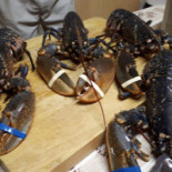 La Chaumière D'albret food