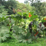 Club House Golf De L'odet Exterior