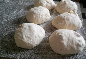 Motorest Piccolo Nourriture