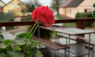 Hostinec U Zabaka Extérieur