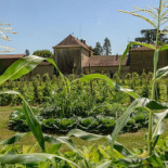 De La Loire Extérieur