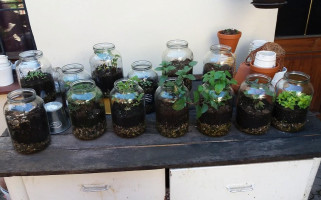 Restaurace Nebe Boisson