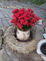 Hospůdka U Trakaře Boisson